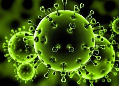 محققان فرانسوی: کرونا 3 برابر مرگبارتر از آنفلوآنزاست