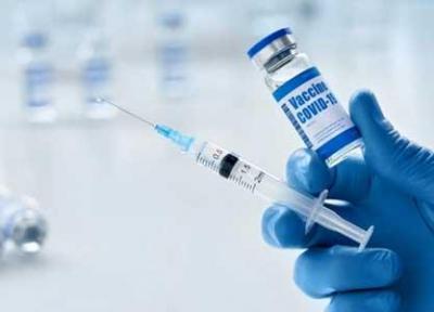 احتمال تداوم پاسخ سلول های ایمنی بدن به واکسن کرونا تا سال ها پس از تزریق