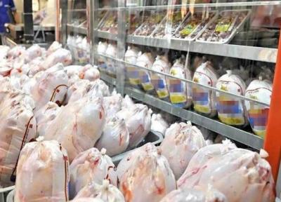 آغاز توزیع مرغ منجمد در بازار ، قیمت مرغ گرم و منجمد